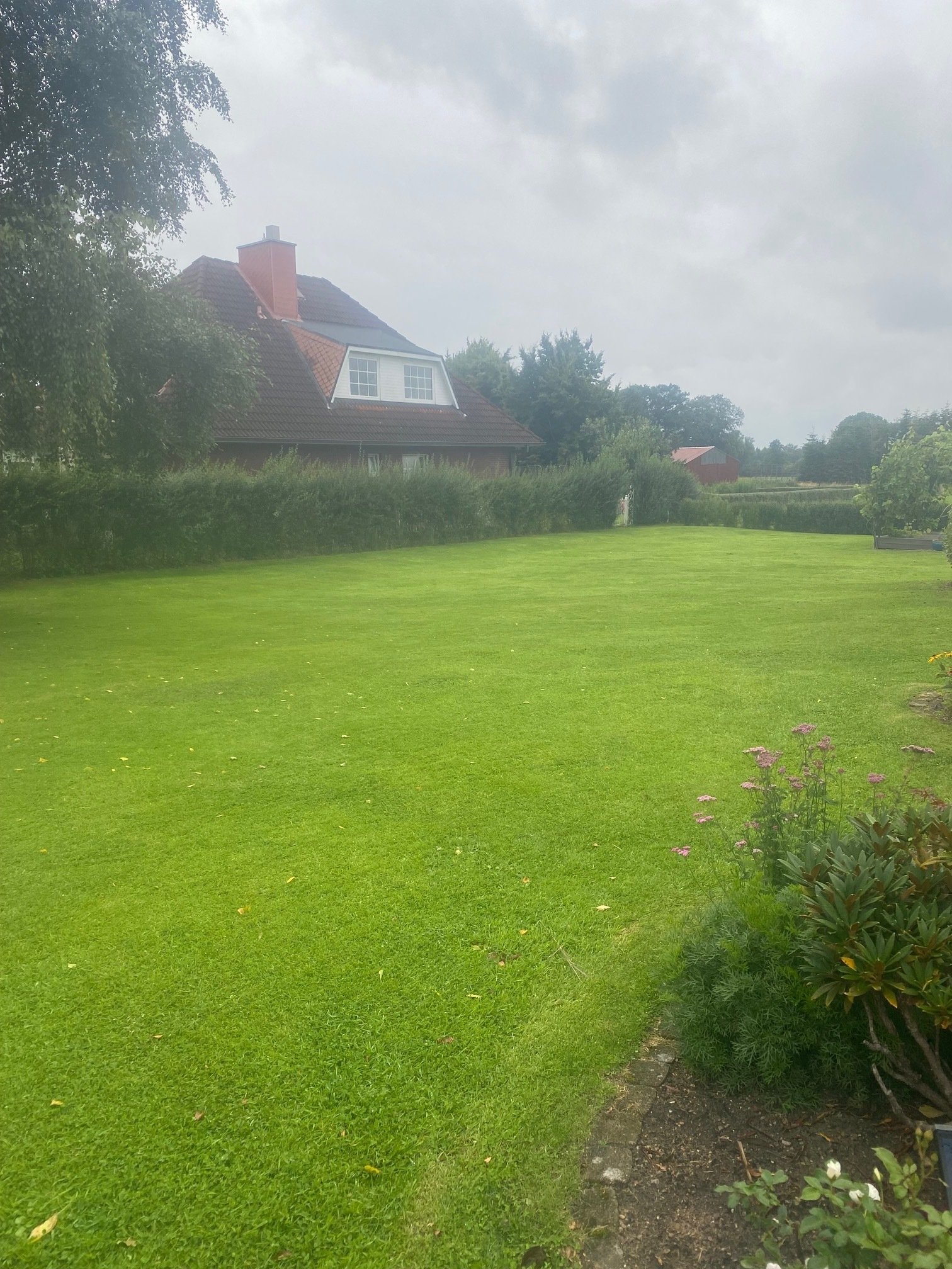 Freies Baugrundstück in 25499 Tangstedt. Bau eines Ein - oder Zweifamilienhauses möglich. Freies Baugrundstück in 25499 Tangstedt. Bau eines Ein - oder Zweifamilienhauses möglich.